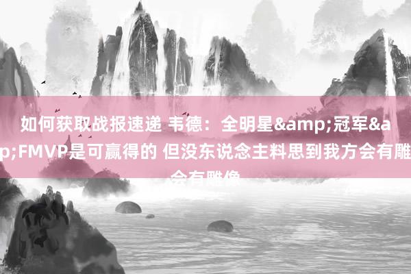 如何获取战报速递 韦德：全明星&冠军&FMVP是可赢得的 但没东说念主料思到我方会有雕像