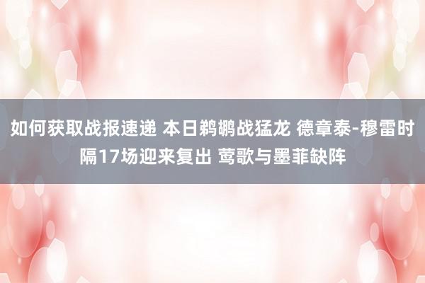 如何获取战报速递 本日鹈鹕战猛龙 德章泰-穆雷时隔17场迎来复出 莺歌与墨菲缺阵