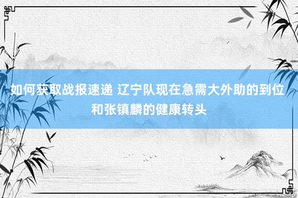 如何获取战报速递 辽宁队现在急需大外助的到位 和张镇麟的健康转头