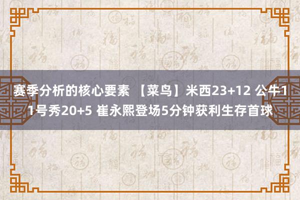 赛季分析的核心要素 【菜鸟】米西23+12 公牛11号秀20+5 崔永熙登场5分钟获利生存首球