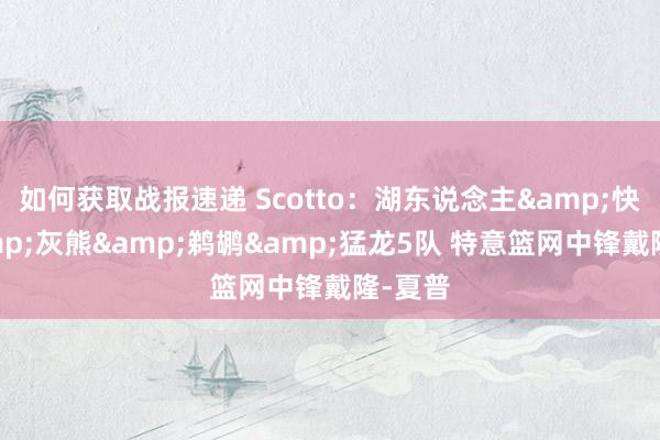 如何获取战报速递 Scotto：湖东说念主&快船&灰熊&鹈鹕&猛龙5队 特意篮网中锋戴隆-夏普