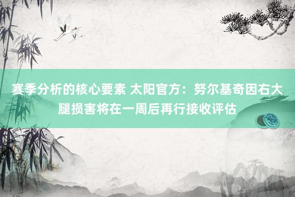 赛季分析的核心要素 太阳官方：努尔基奇因右大腿损害将在一周后再行接收评估